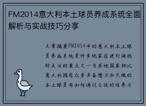 FM2014意大利本土球员养成系统全面解析与实战技巧分享