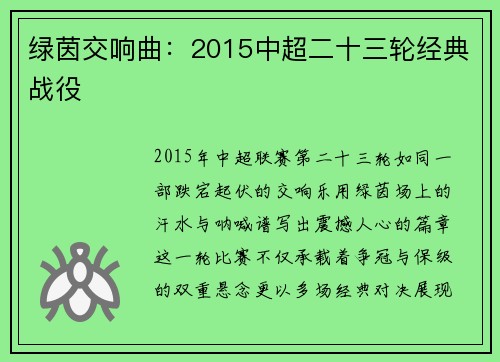 绿茵交响曲：2015中超二十三轮经典战役